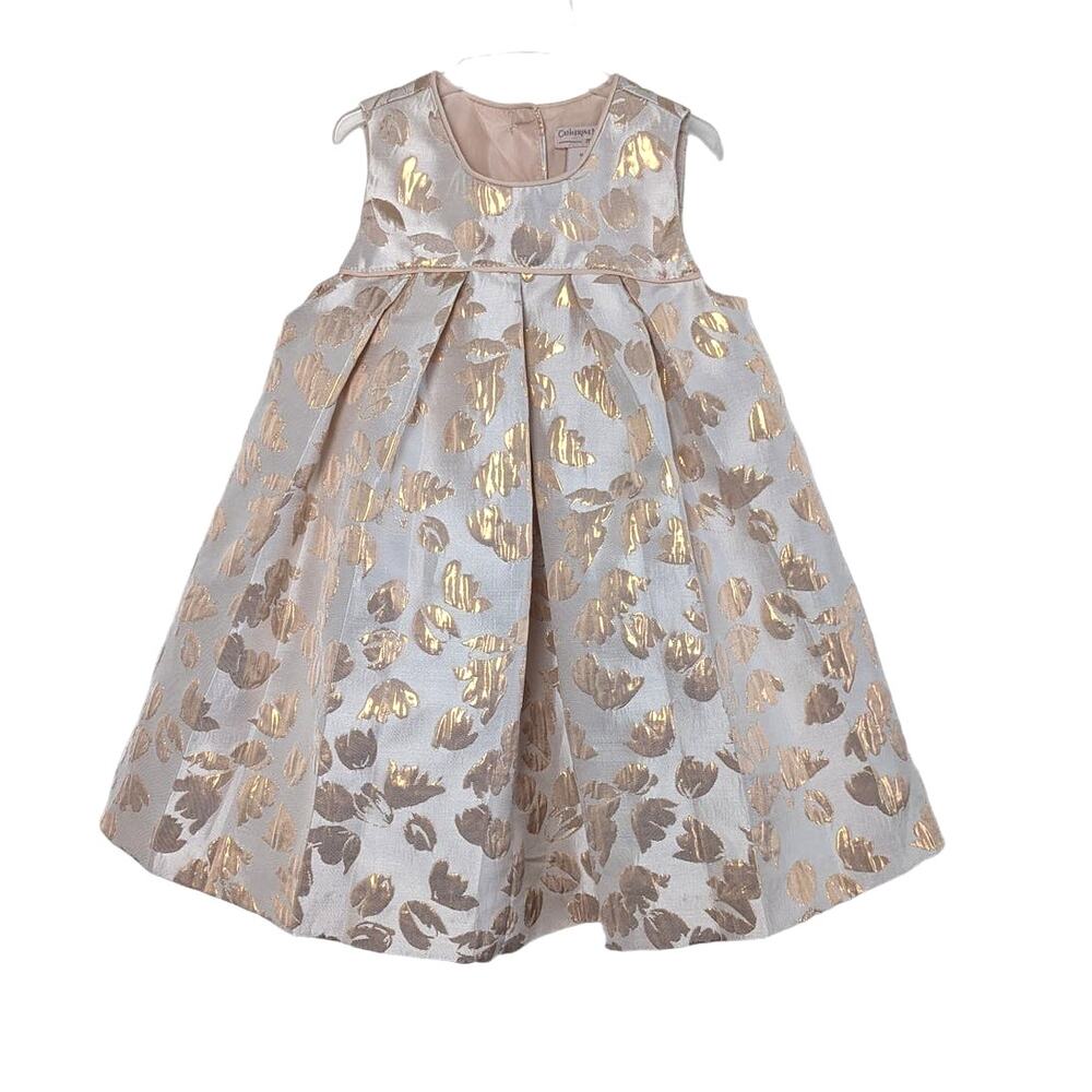 Catherine Malandrino Mini Infant Girls Dress Rose Gold Color Size 18M